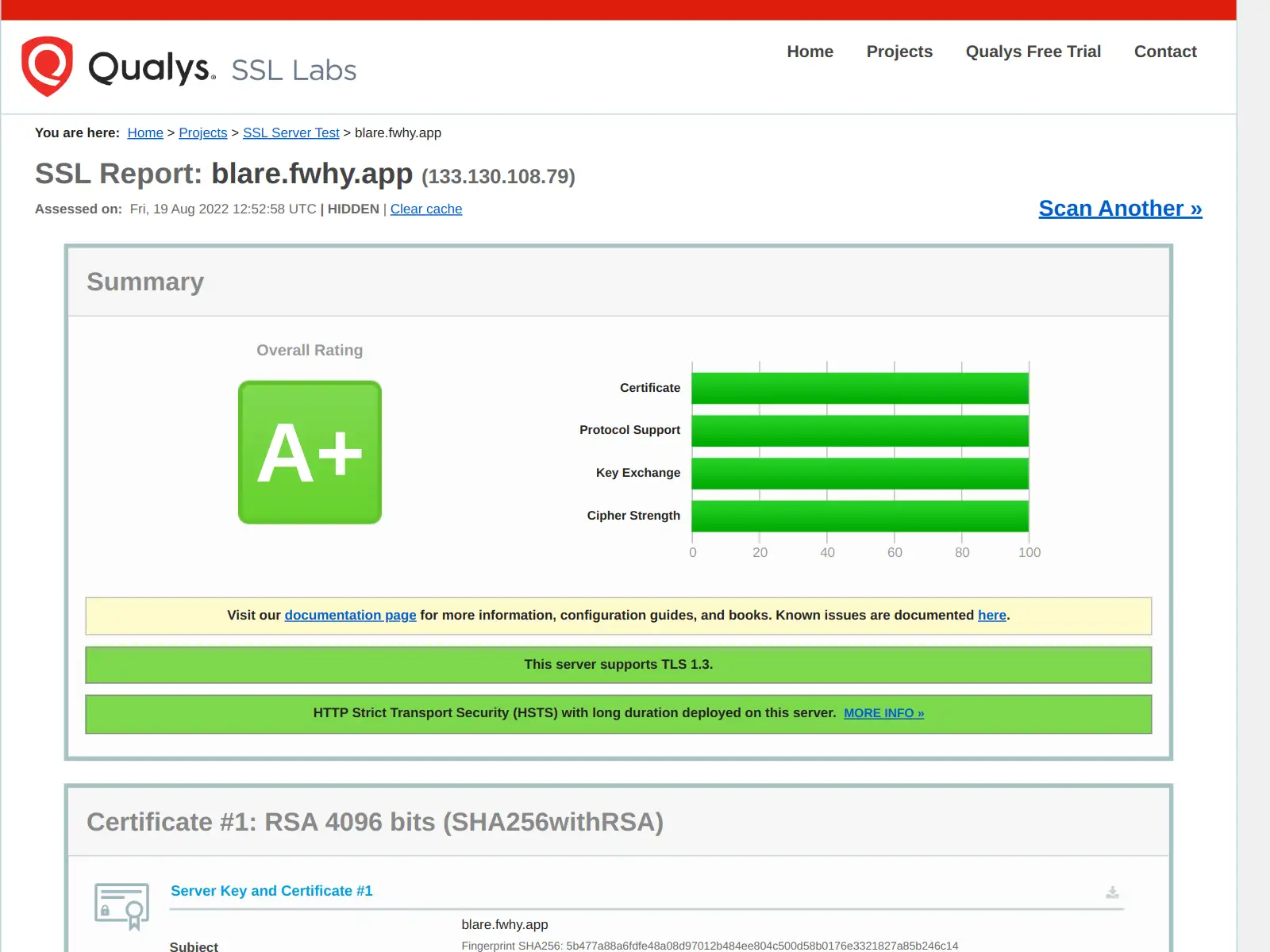 SSL Server Test (Powered by Qualys SSL Labs)